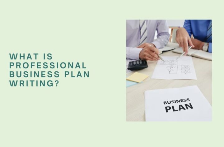 What is Professional Business Plan Writing