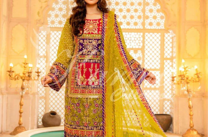 Ladies Pakistani Dress