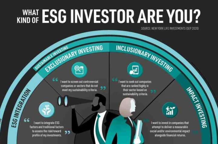 Difference-Between-Financial-Investors