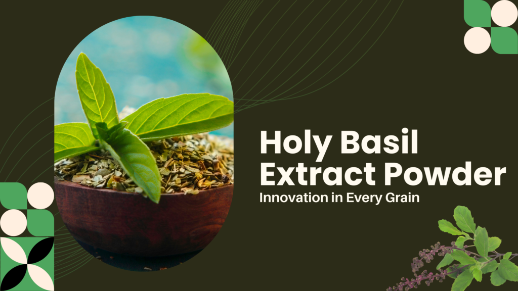 Holy Basil Extract Powder: A Manufacturing Breakthrough