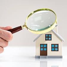 home inspection specialist