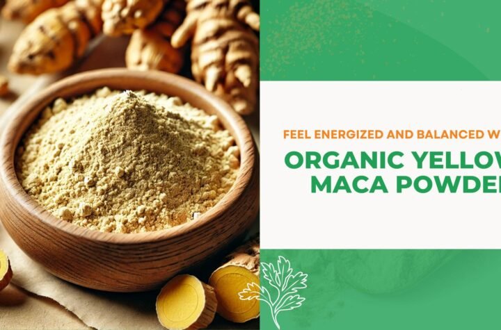 Unlock the Power of Organic Yellow Maca Powder for Energy, Mood, and Hormonal Balance