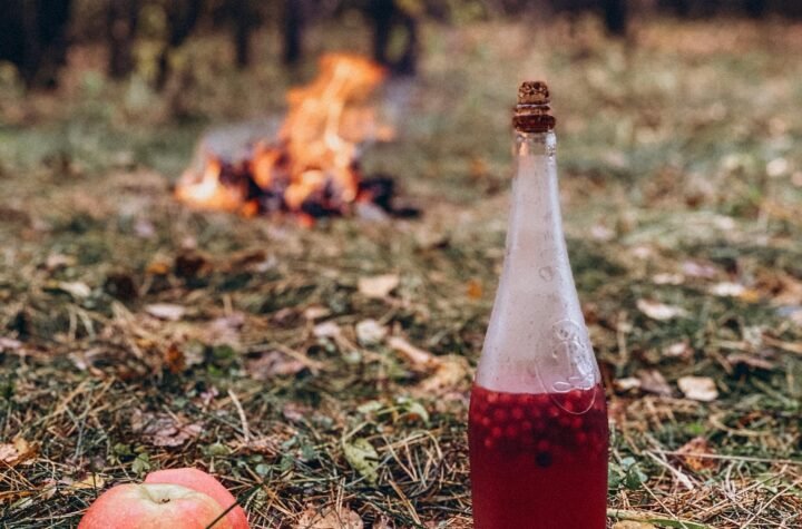 apple cider