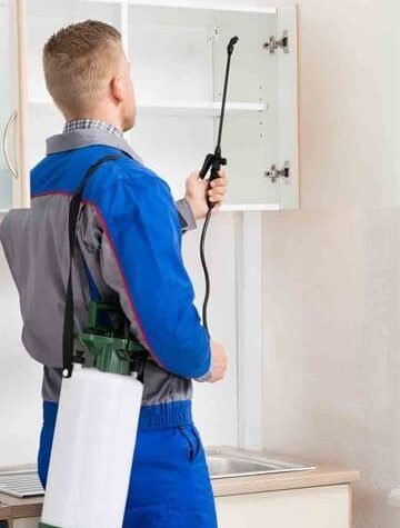 termite treatment services, fumigation services in Lahore,