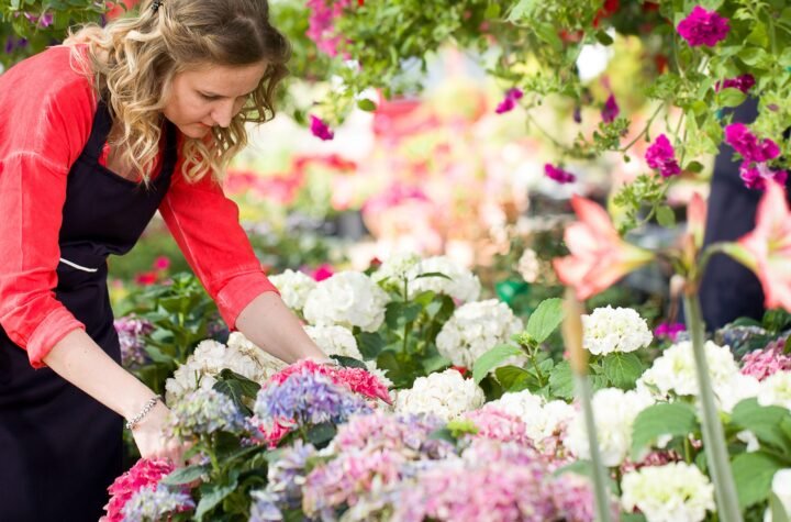 Melbourne's Best Seasonal Blooms: What's in Season & How to Style