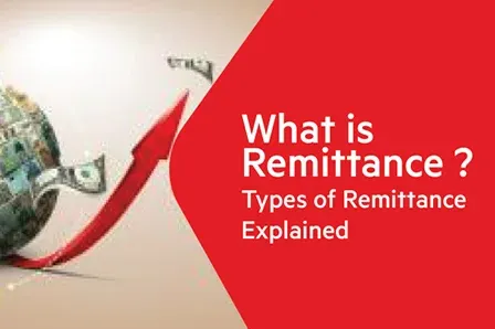 Types of Remittances and How they work