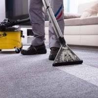 Commercial Carpet cleaner Staten Island