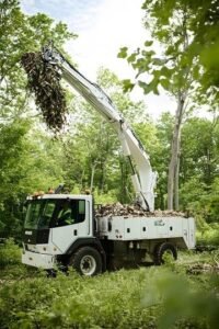 tree service Indian trail NC