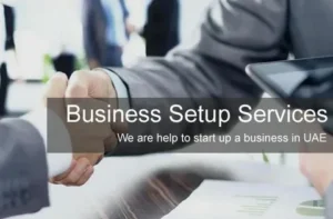 Business Setup Consultants