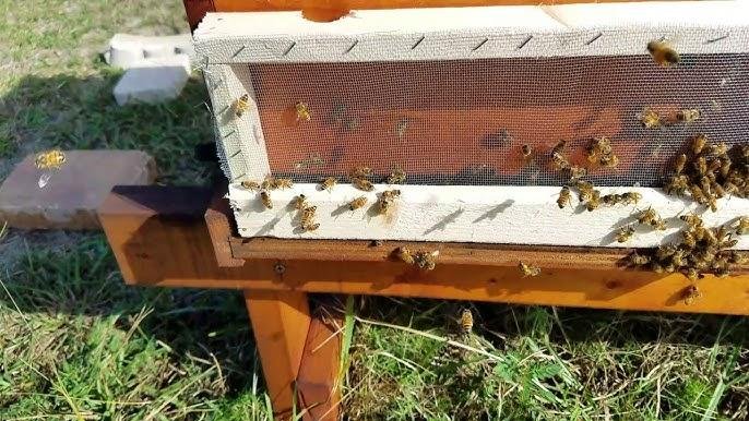 Every Beekeeper Need a Beehive Robbing Screen