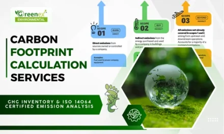 Carbon Quantification Service in India: A Step Towards a Sustainable Future with Living Things