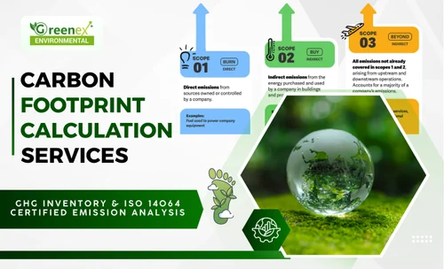 Carbon Quantification Service in India: A Step Towards a Sustainable Future with Living Things