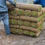 Common Mistakes to Avoid When Installing Sod