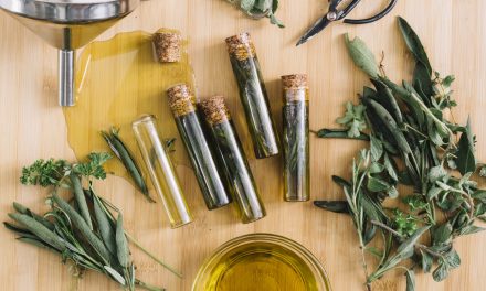 Top 10 Organic Extract Benefits for Skin