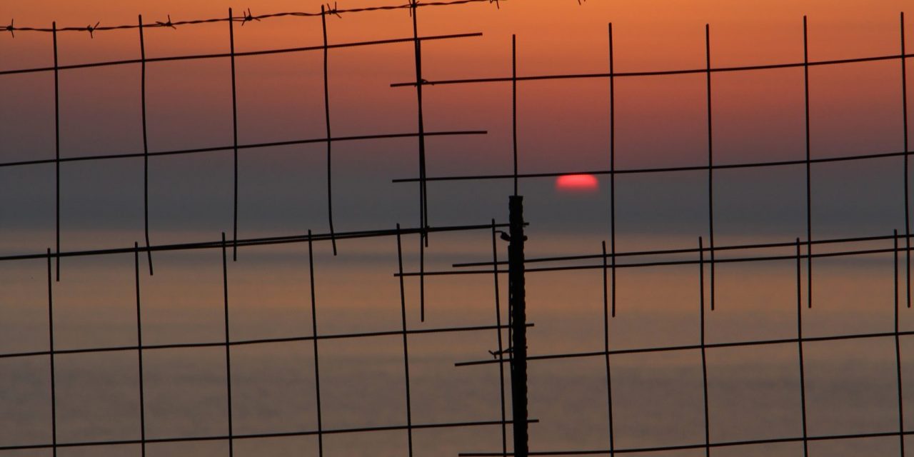 Electric Fencing Market Size, Share | Report & Forecast 2032