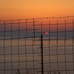 Electric Fencing Market Size, Share | Report & Forecast 2032
