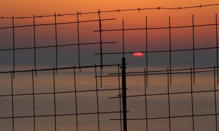Electric Fencing Market Size, Share | Report & Forecast 2032