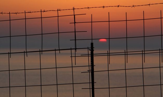 Electric Fencing Market Size, Share | Report & Forecast 2032