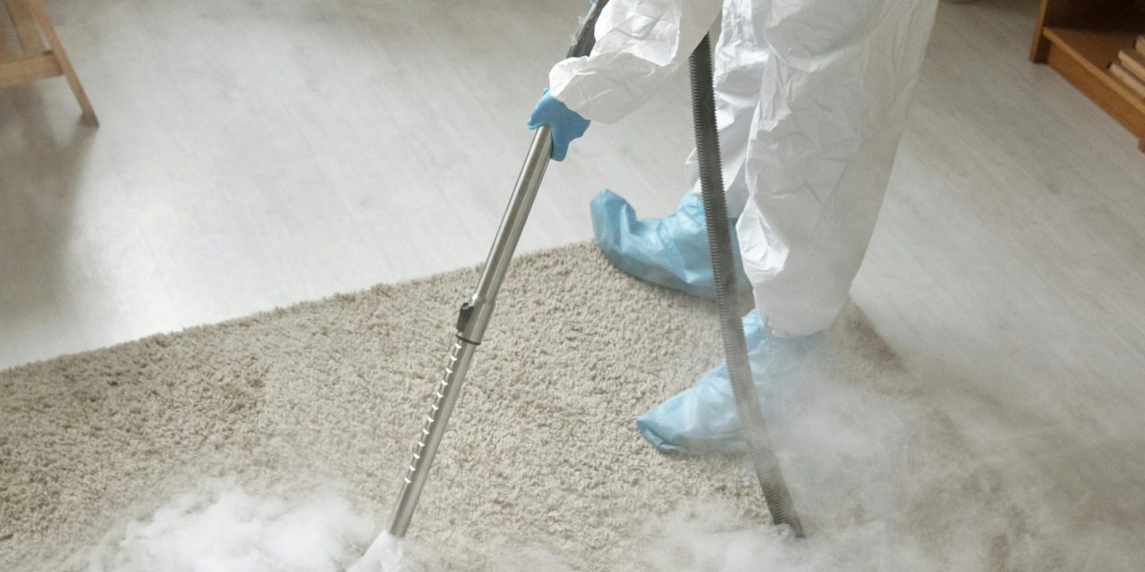 Tips and Tricks of Carpet Cleaning in Bankstown