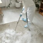 Tips and Tricks of Carpet Cleaning in Bankstown