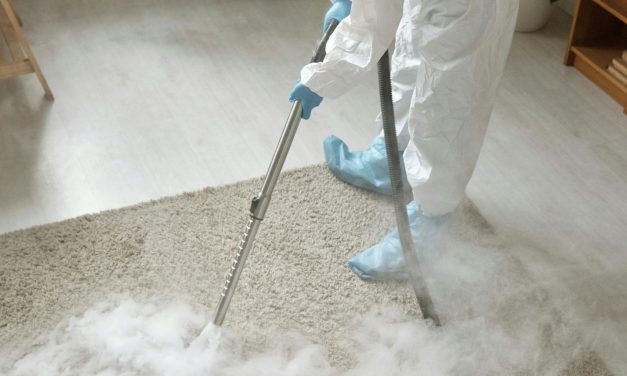 Tips and Tricks of Carpet Cleaning in Bankstown