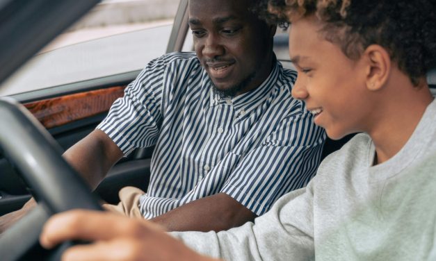 Criteria for Choosing the Best Automatic Driving Instructor